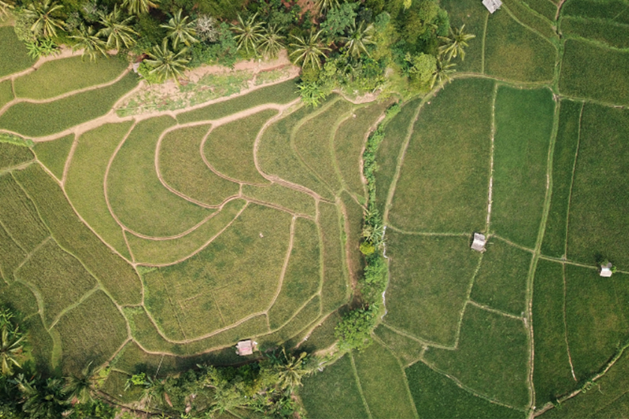 5 Steps to Donating Land to Charity 