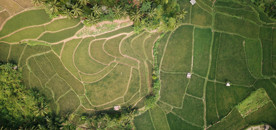 5 Steps to Donating Land to Charity 