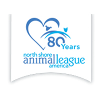 Featured Nonprofits