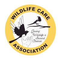 Featured Nonprofits